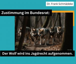Bundesrat beschließt Aufnahme des Wolfs ins Jagdrecht – wichtiger Schritt für den ländlichen Raum